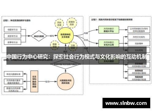 中国行为中心研究：探索社会行为模式与文化影响的互动机制