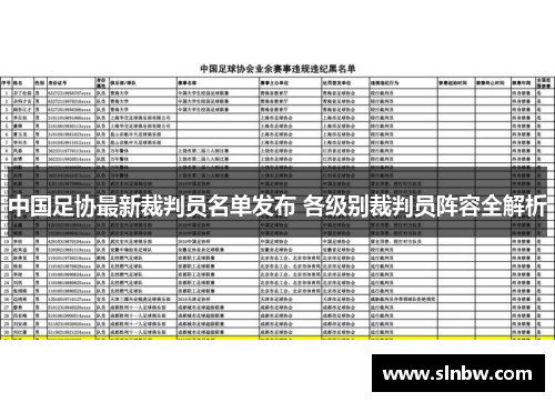 中国足协最新裁判员名单发布 各级别裁判员阵容全解析